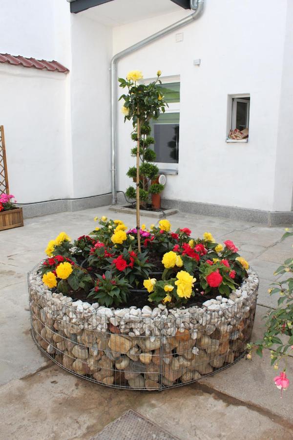 Pension Budissin Bautzen Εξωτερικό φωτογραφία